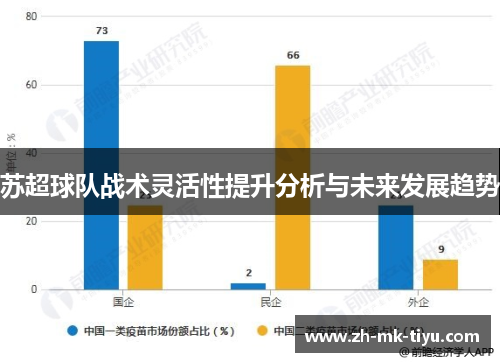 苏超球队战术灵活性提升分析与未来发展趋势